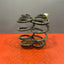 Vauxhall Vivaro/Renault Trafic REAR COIL SPRINGS (PAIR) 2016 P/N 550202870R