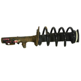 Ford Transit MK8 FRONT STRUT COMPLETE (Fits Both Sides) 2013-2018 P/N BK3118045ED