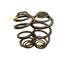 Vauxhall Vivaro/Renault Trafic REAR COIL SPRINGS (PAIR) 2016 P/N 550202870R