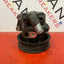 Ford Transit POWER STEERING PUMP EURO5  2.2 RWD 2015 P/N CC113A696BB