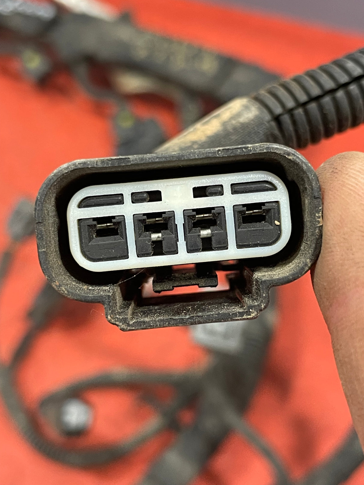 Ford Transit Custom ENGINE WIRING LOOM 2.2 FWD 2013-2016 P/N CK2T12B637FAF