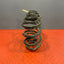 Vauxhall Vivaro/Renault Trafic REAR COIL SPRINGS (PAIR) 2016 P/N 550202870R