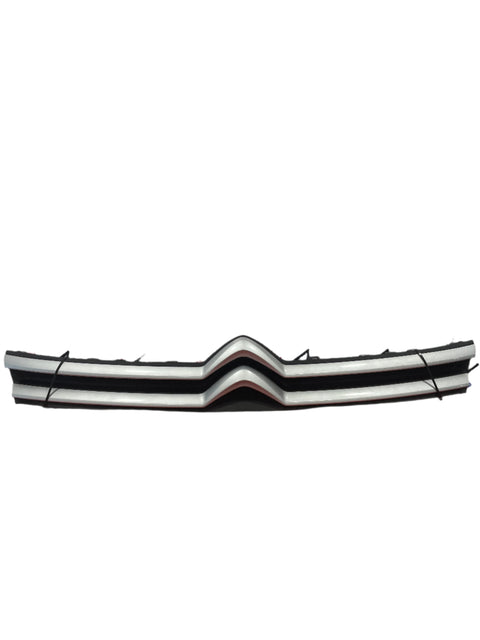 Citroen Dispatch FRONT BUMPER GRILLE 2017-ON P/N 9811789377