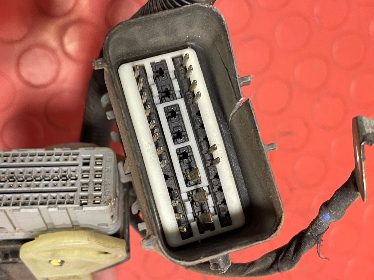 Ford Transit Custom ENGINE WIRING LOOM 2.2 FWD 2013-2016 P/N CK2T12B637FAF