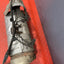 Citroen Berlingo/Peugeot Partner/Vauxhall Combo/Toyota Proace City DE POLLUTION FILTER (DPF) w/o adblue pipes 1.5 2018-2024 P/N 9839652280