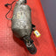 Citroen Berlingo/Peugeot Partner DIESEL PARTICULATE FILTER DPF 2016-2018 1.6L P/N 9823467180 - 8 / 1321717X