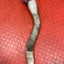 Citroen Berlingo/Peugeot Partner WINDSCREEN WASHER RESERVOIR PIPE w/ CAP 2008-2018 P/N 9637915780
