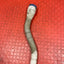 Citroen Berlingo/Peugeot Partner WINDSCREEN WASHER RESERVOIR PIPE w/ CAP 2008-2018 P/N 9637915780