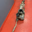 Citroen Berlingo/Peugeot Partner COMPLETE STEERING RACK 1.5 2019-2024 P/N 9824390580