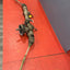 Citroen Berlingo/Peugeot Partner COMPLETE STEERING RACK 1.6 2011-2018 P/N 9631166780 - 1