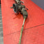 Citroen Berlingo/Peugeot Partner COMPLETE STEERING RACK 1.6 2011-2018 P/N 9631166780 - 1
