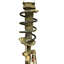 Ford Transit Custom COMPLETE FRONT SHOCK ABSORBER Passenger's Side LH 2.2 2013-2016 P/N FK2118045AA