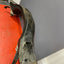 Ford Transit CROSSMEMBER Mk8 2.0 RWD 2016-2023 P/N KK315W019BE-1