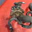Ford Transit Custom COMPLETE STEERING/WATER PUMP w/ HOSES 2.2 2013-2016 P/N 6C1Q8K500AG