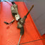 Ford Transit Bullnose ELECTRIC STEERING RACK Mk8 FWD 2.0 2016-2023 P/N KK213D070DE - 1 / KK2T3F720BC
