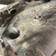 Vauxhall Vivaro/Renault Trafic/Nissan NV300 ADBLUE TANK 1.6 2014-2019 P/N 172A21178R - 1