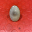Ford Transit MK7 FENDER/WING INDICATOR LIGHT P/N 6C1113K354AA