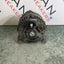 Renault Trafic/Vauxhall Vivaro ALTERNATOR 1.6 dci 2014-2017 2 PIN P/N 231009096R